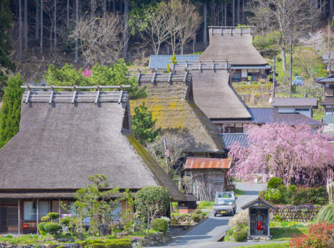 Japan - Hemingstone Travel