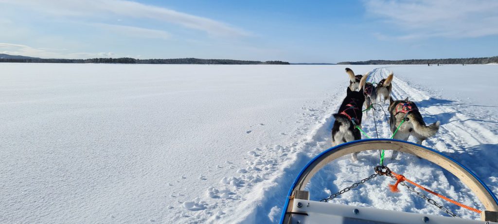 Nellim Wilderness lodge - Hemingstone Travel