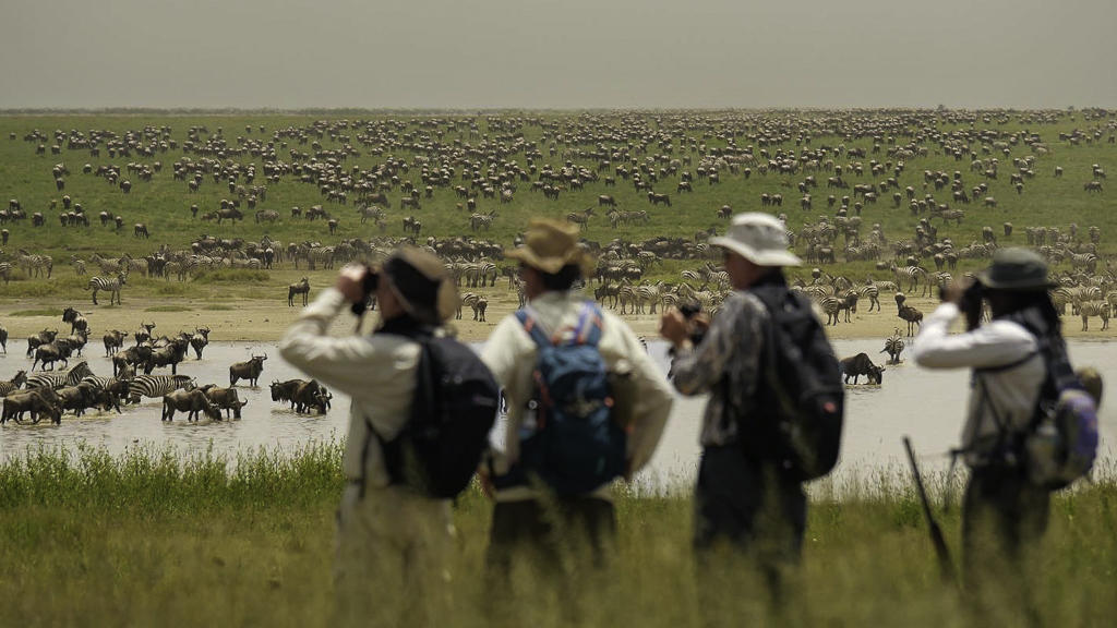 Tanzania - Hemingstone Travel