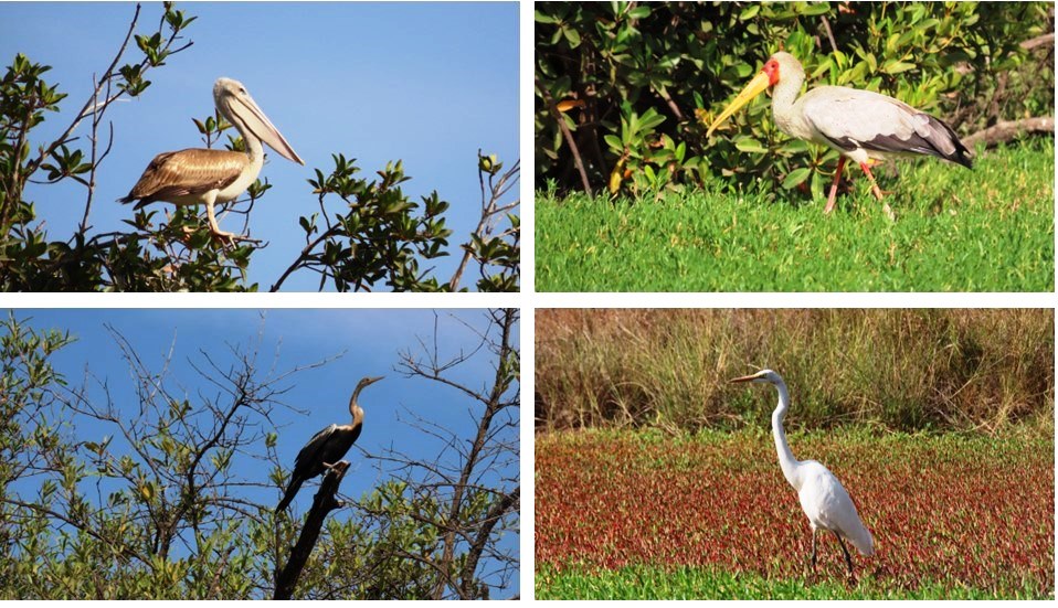 West-Afrika cruise -Hemingstone Travel